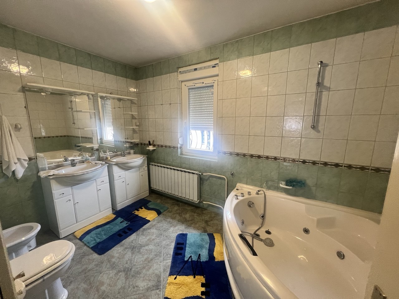 Luksuzna kuća na prodaju s pogledom na Vrbas, 260 m²