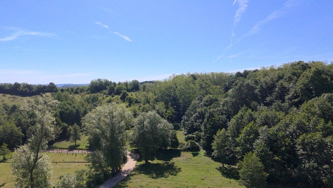 Seosko imanje na prodaju 20.000 m² zemljišta, kuća i pomoćni objekti