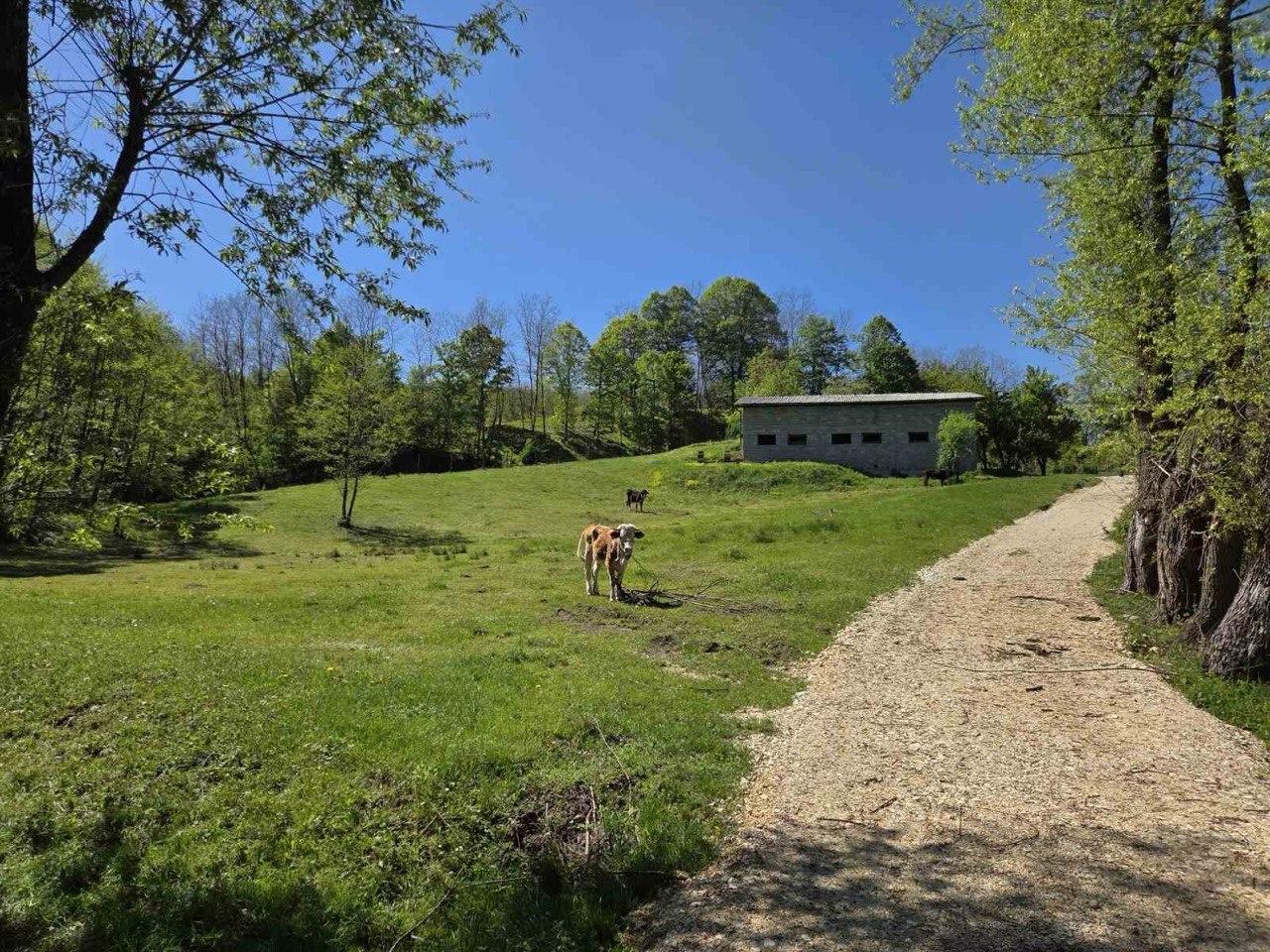 Seosko imanje na prodaju 20.000 m² zemljišta, kuća i pomoćni objekti