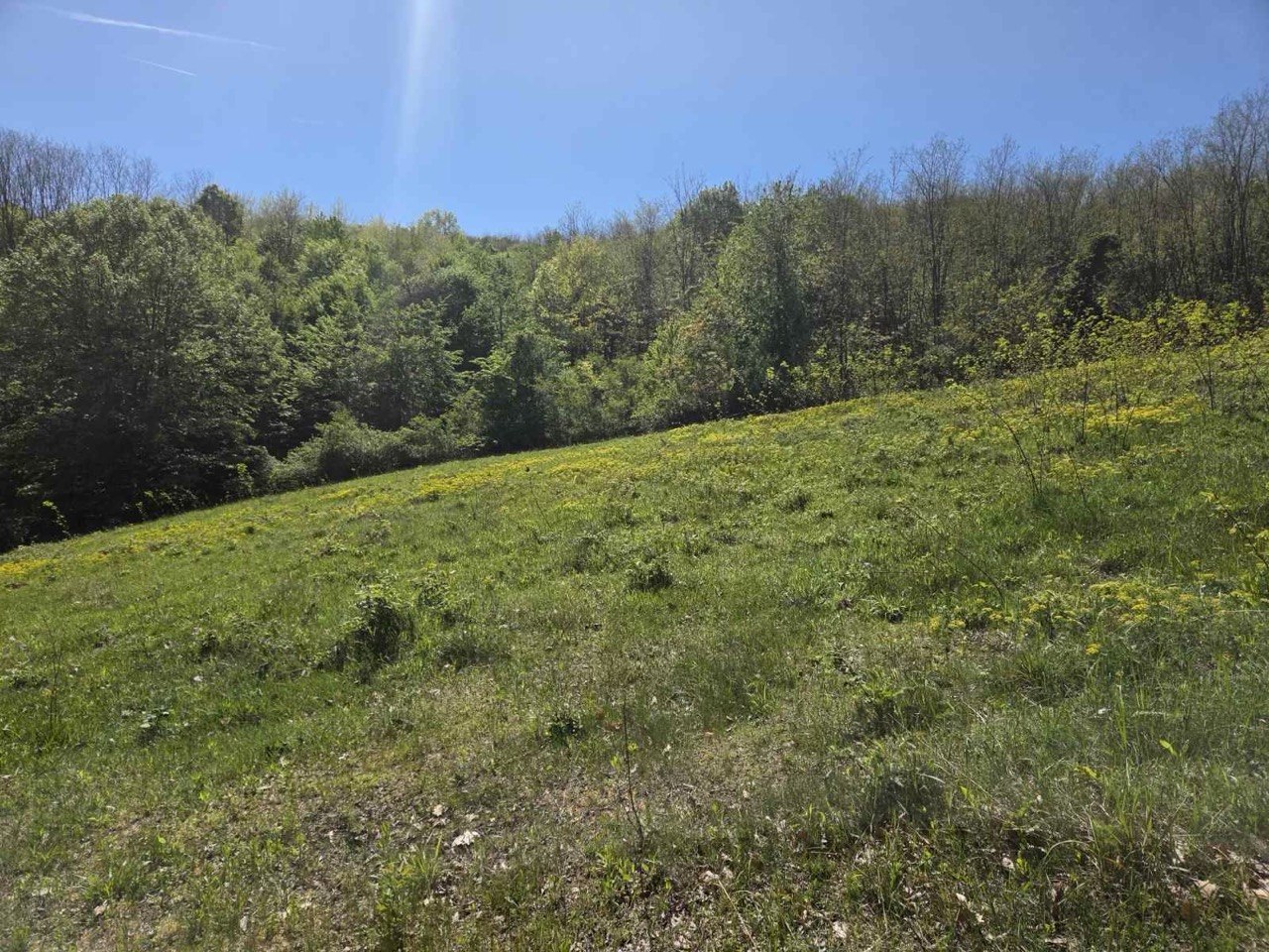 Seosko imanje na prodaju 20.000 m² zemljišta, kuća i pomoćni objekti