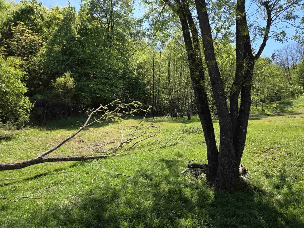 Seosko imanje na prodaju 20.000 m² zemljišta, kuća i pomoćni objekti