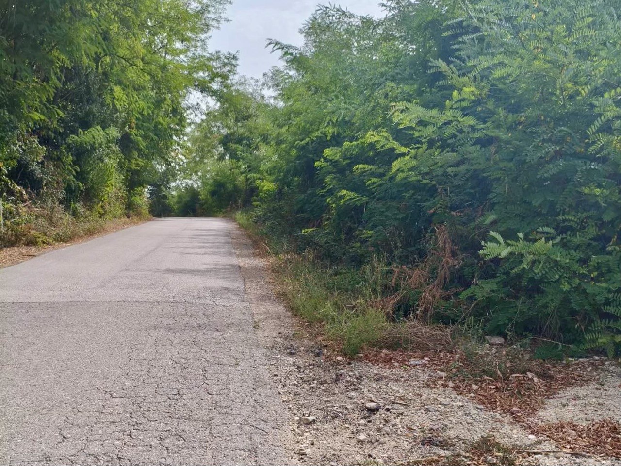 Zemljište 3.280 m² za vikendicu Čokorska Polja, Banja Luka