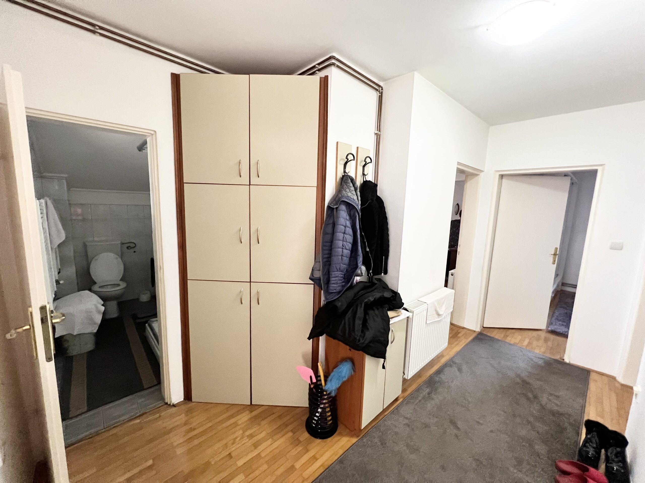 Porodična kuća sa dva odvojena stana Petrićevac