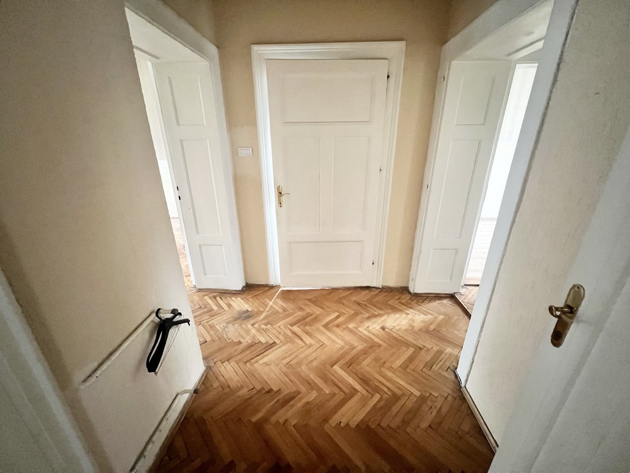 Salonski stan idealan za poslovni prostor