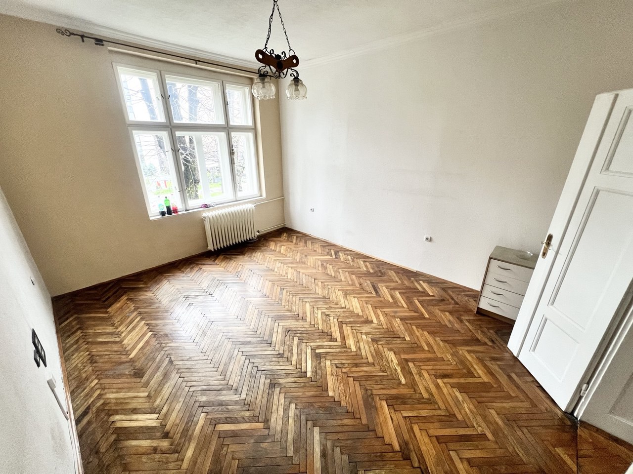 Salonski stan idealan za poslovni prostor