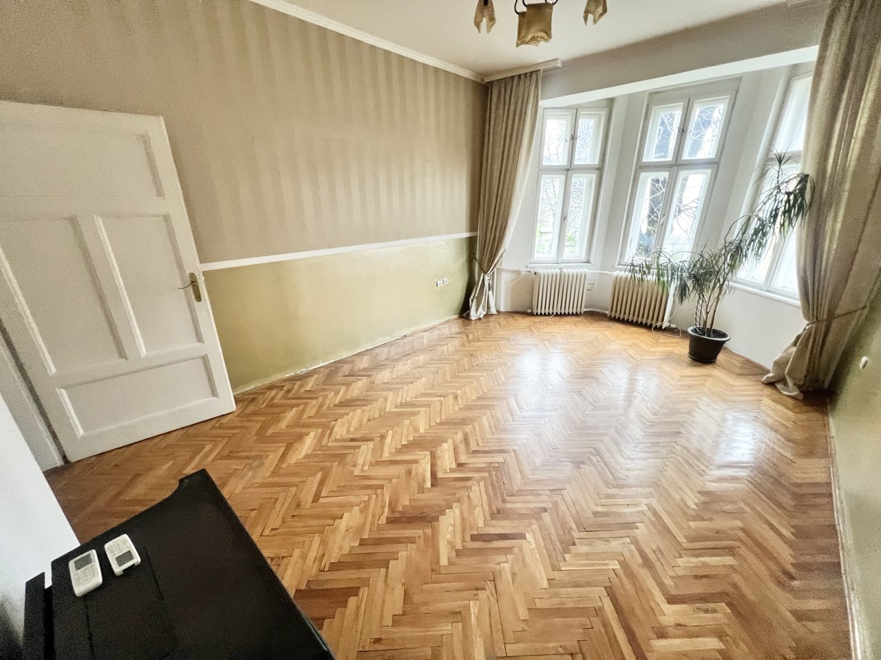 Salonski stan idealan za poslovni prostor