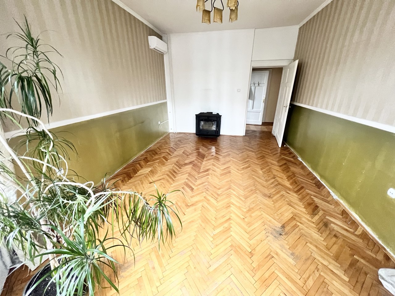 Salonski stan idealan za poslovni prostor