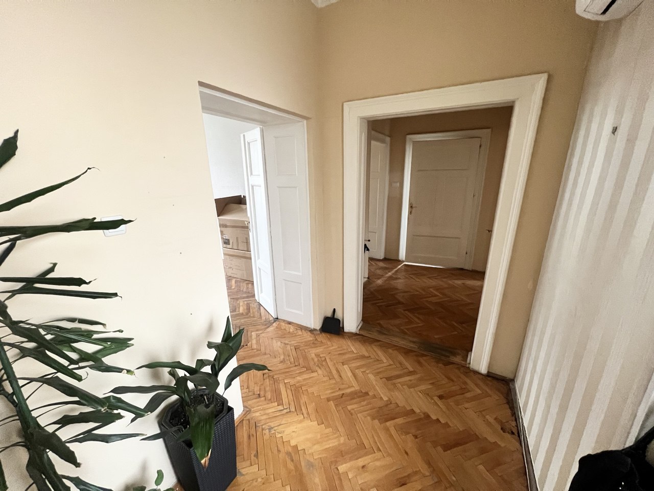 Salonski stan idealan za poslovni prostor