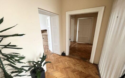 Salonski stan idealan za poslovni prostor
