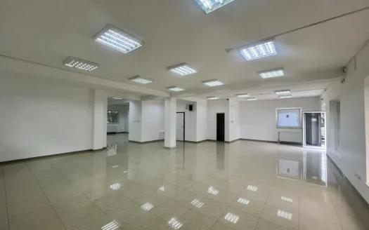 Izdaje se poslovni prostor Ada